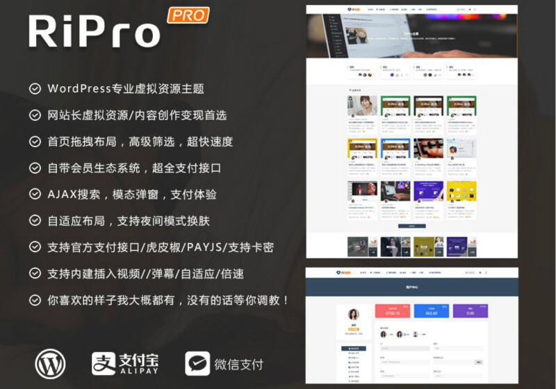Ripro_v9.4(二开版)
